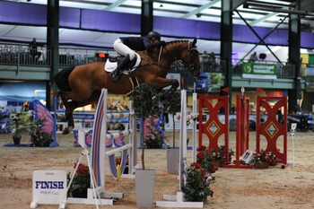 Thursday at the Alexanders Horseboxes Scope Festival (UK) Supreme Championships 2016